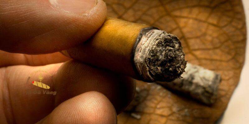 Các loại xì gà Việt Nam cuốn tay, cuốn máy